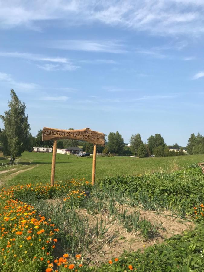 Szemud Agroturystyka Nad Stawami מראה חיצוני תמונה
